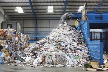 waste sorting conveyor belt