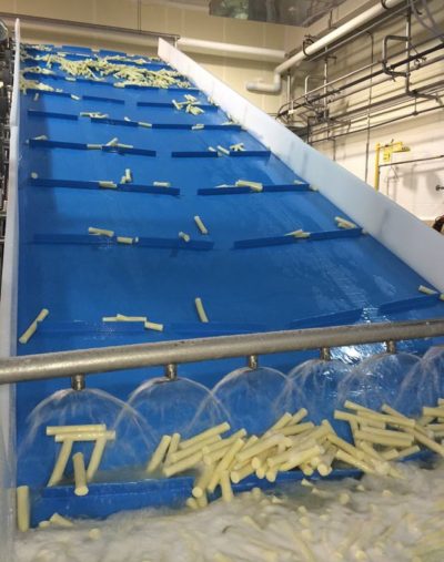 monolithic belting volta incline conveyor belt, cleated belt