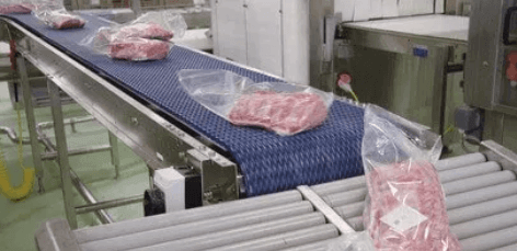 Food Processing Conveyor Belt