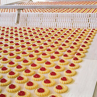 lightweight conveyor belting