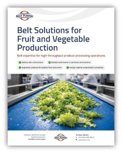 Belt Solutions for Fruit and Vegetable Production - Belt Power